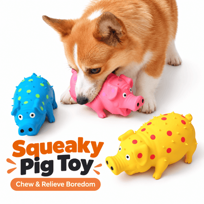 Squeaky Pig Dog Toy & Soft Latex Chew Toy
