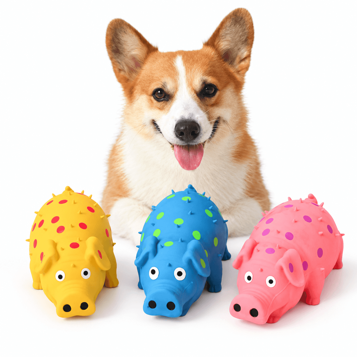 Squeaky Pig Dog Toy & Soft Latex Chew Toy