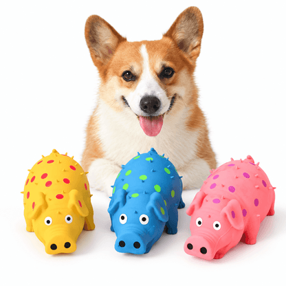Squeaky Pig Dog Toy & Soft Latex Chew Toy