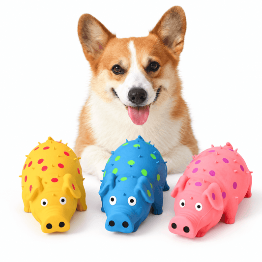 Squeaky Pig Dog Toy & Soft Latex Chew Toy