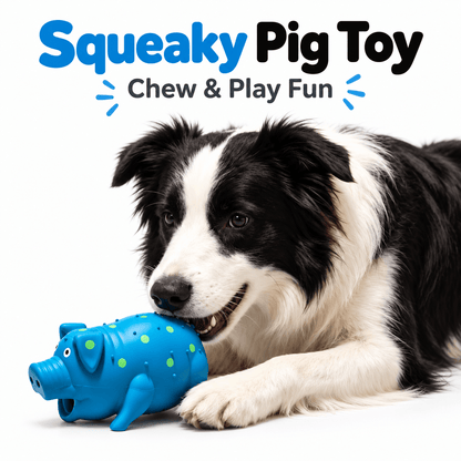Squeaky Pig Dog Toy & Soft Latex Chew Toy