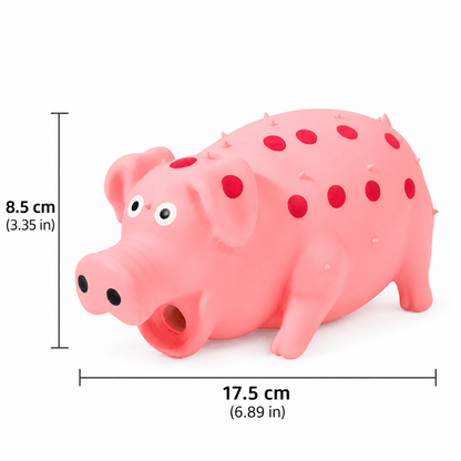 Squeaky Pig Dog Toy & Soft Latex Chew Toy