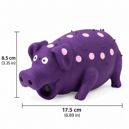 Squeaky Pig Dog Toy & Soft Latex Chew Toy