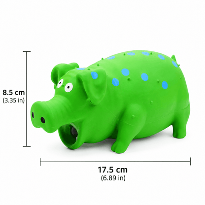 Squeaky Pig Dog Toy & Soft Latex Chew Toy