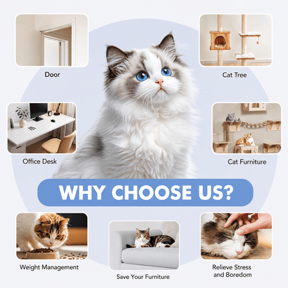 Automatic Hanging Cat Toy & Interactive Moving Mouse Toy for Indoor Cats