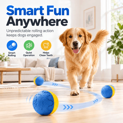 Automatic Rolling Dog Ball