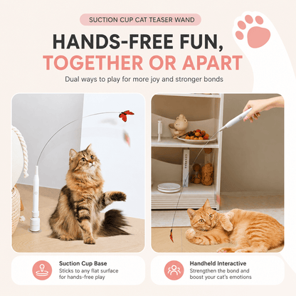 Interactive Butterfly Cat Toy & Automatic 360° Rechargeable Self-Play Teaser