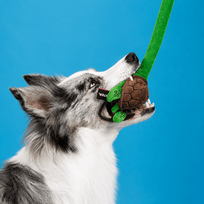Long Plush Squeaky Dog Toy for Tug and Fetch - view 7