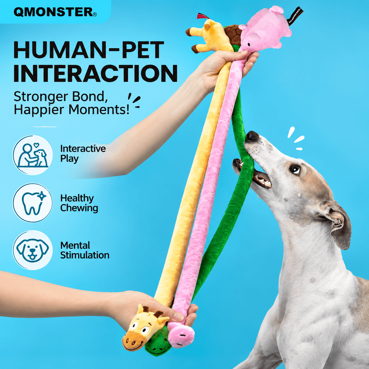 Long Plush Squeaky Dog Toy for Tug and Fetch - view 2