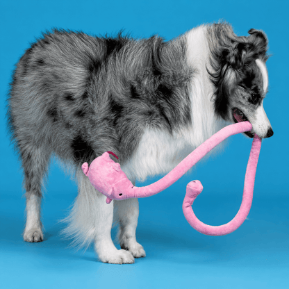 Long Plush Squeaky Dog Toy for Tug and Fetch - view 6
