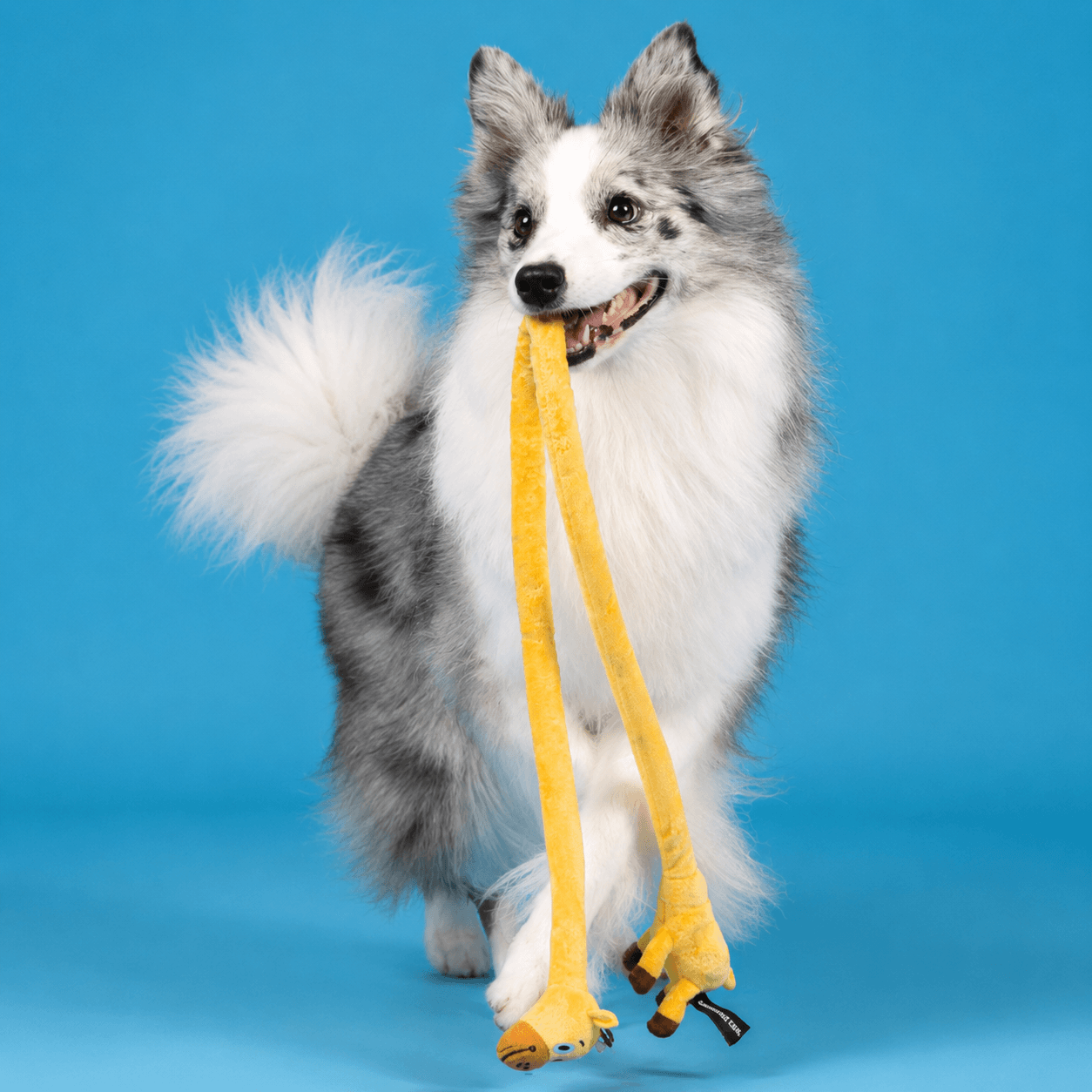 Long Plush Squeaky Dog Toy for Tug and Fetch
