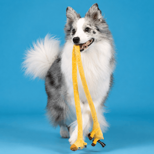 Long Plush Squeaky Dog Toy for Tug-of-War and Fetch