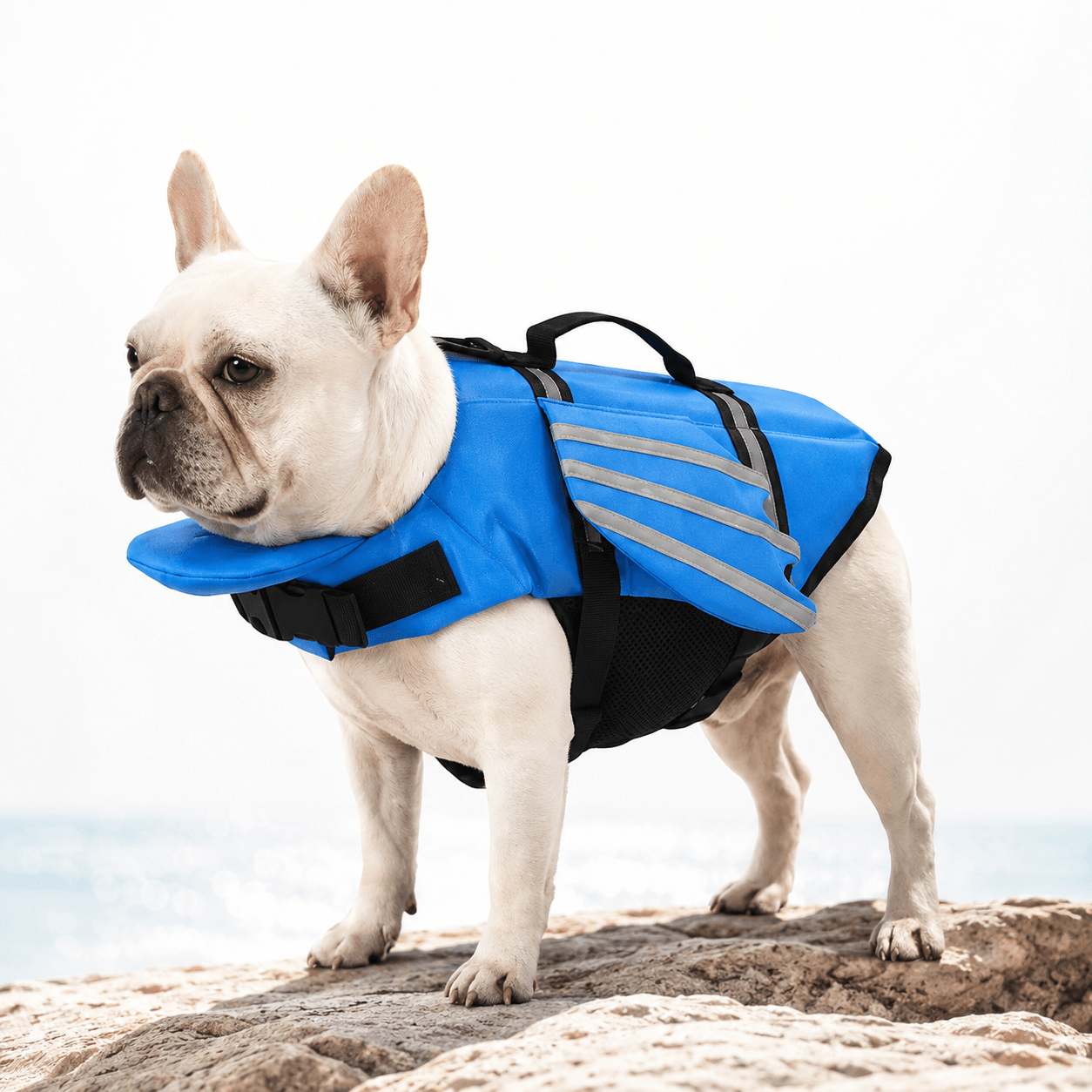 Angel Wing Dog Life Jacket Rescue Handle Reflective