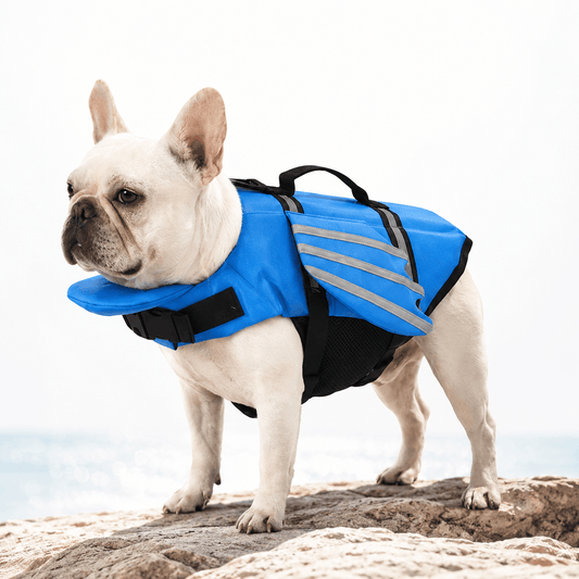 Angel Wing Dog Life Jacket with Rescue Handle and Reflective Strips