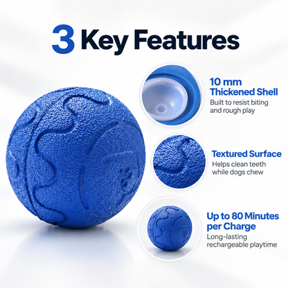 Automatic Rolling Dog Ball