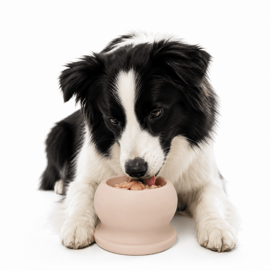 Frozen Fillable Dog Enrichment Toy Natural Rubber