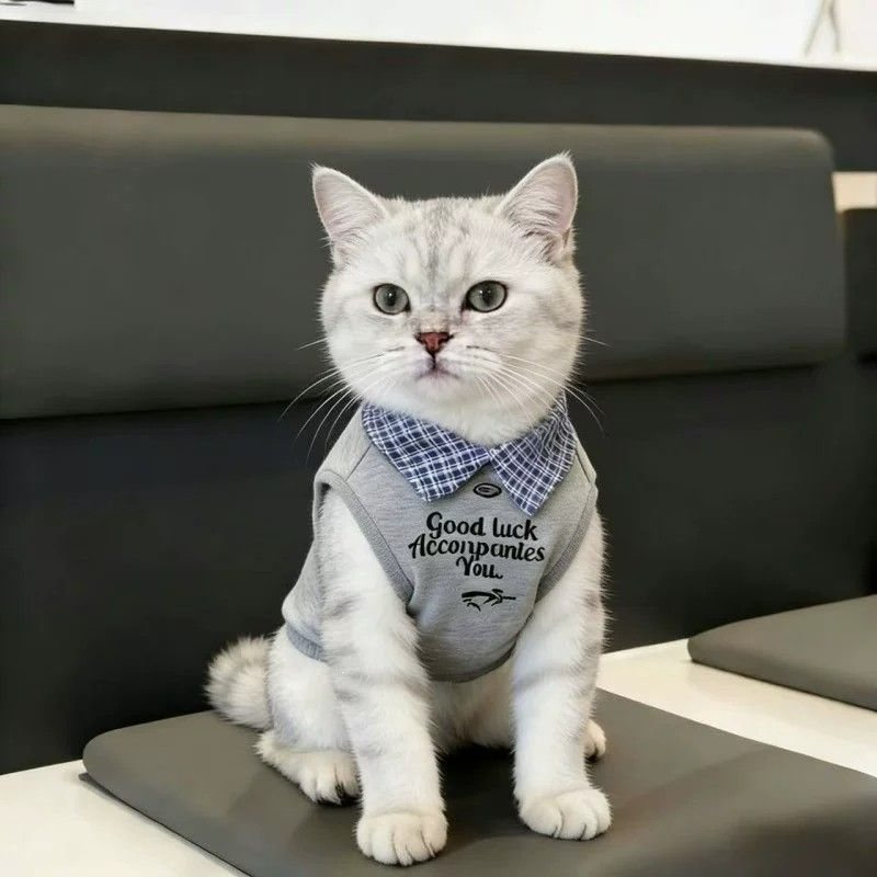 Plaid Collar Pet Vest & Classic Preppy Shirt for Cats & Dogs
