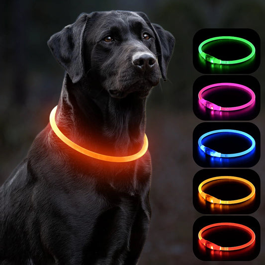 LED-Leuchthalsband für Hunde Leuchtendes Anti-Verlust-Hundehalsband USB-wiederaufladbares Hundehalsband