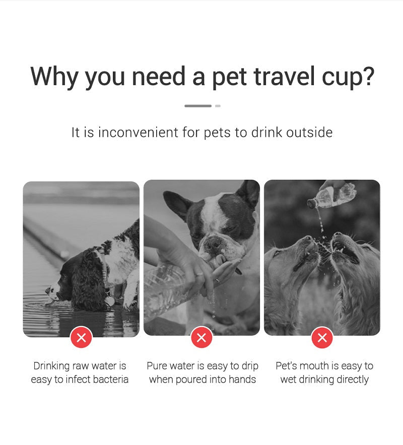 Portable Dog Water Bottle with Built In Bowl