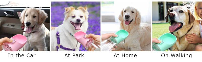 Portable Dog Water Bottle with Built In Bowl