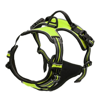 Adjustable Dog Harness and Leash Set