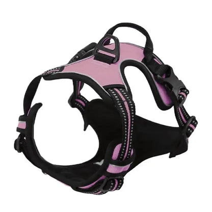 Adjustable Dog Harness and Leash Set