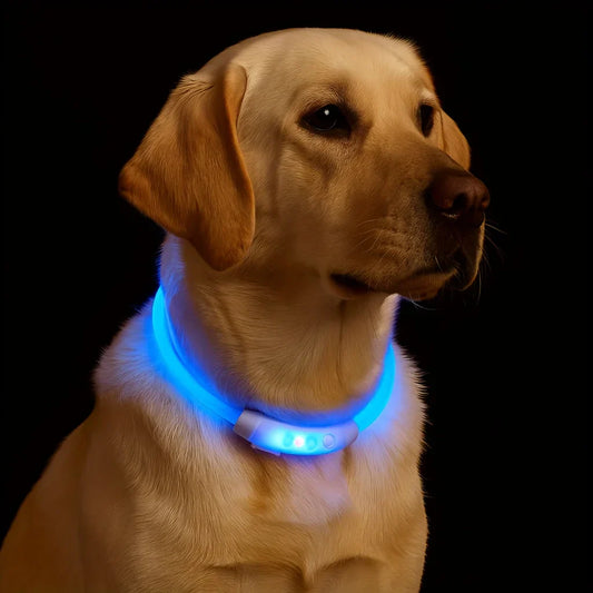 Neues LED-Hundehalsband, USB-wiederaufladbar, 3 Modi, verstellbar, leuchtendes Hundehalsband für Nachtspaziergänge, sicheres reflektierendes Haustierhalsband