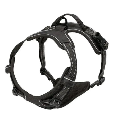 Adjustable Dog Harness and Leash Set