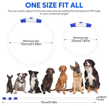 Adjustable LED dog collar size guide for small medium and large dogs