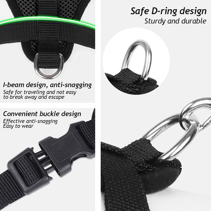 Strong metal D-ring and secure buckle system on cat harness