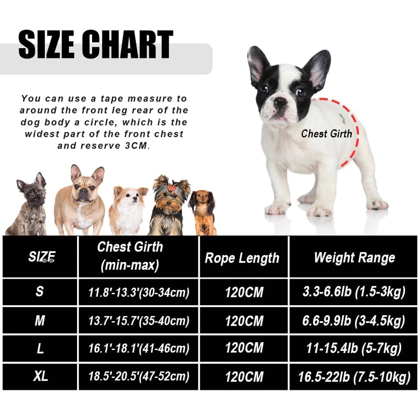 Cat harness size chart for kittens, cats and small dogs
