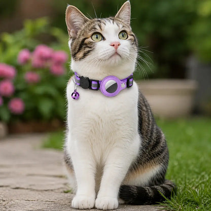 Cat wearing an AirTag collar with secure tracking holder