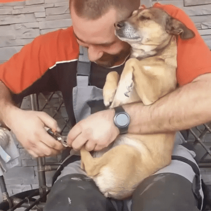 Man holding a nervous dog while clipping its nails, showing the stress of traditional dog nail trimming