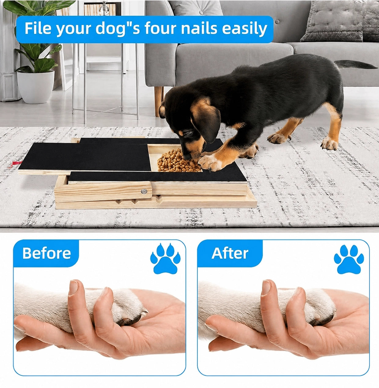 Dog nail scratch board showing before and after nail results with dog training scene and smiling dog portrait