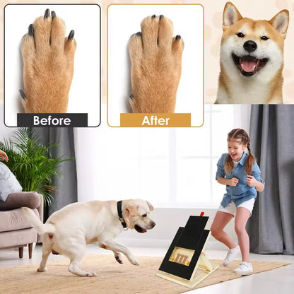 Before and after comparison of a dog's paw with a product, a dog playing with a girl, and a product box on a carpet.