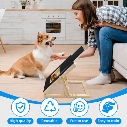 Corgi using an angled dog nail scratch board with owner showing reusable training and nail care benefits
