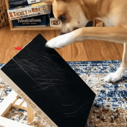 Dog using a wooden nail scratch board with visible scratch marks on the sanding surface during training