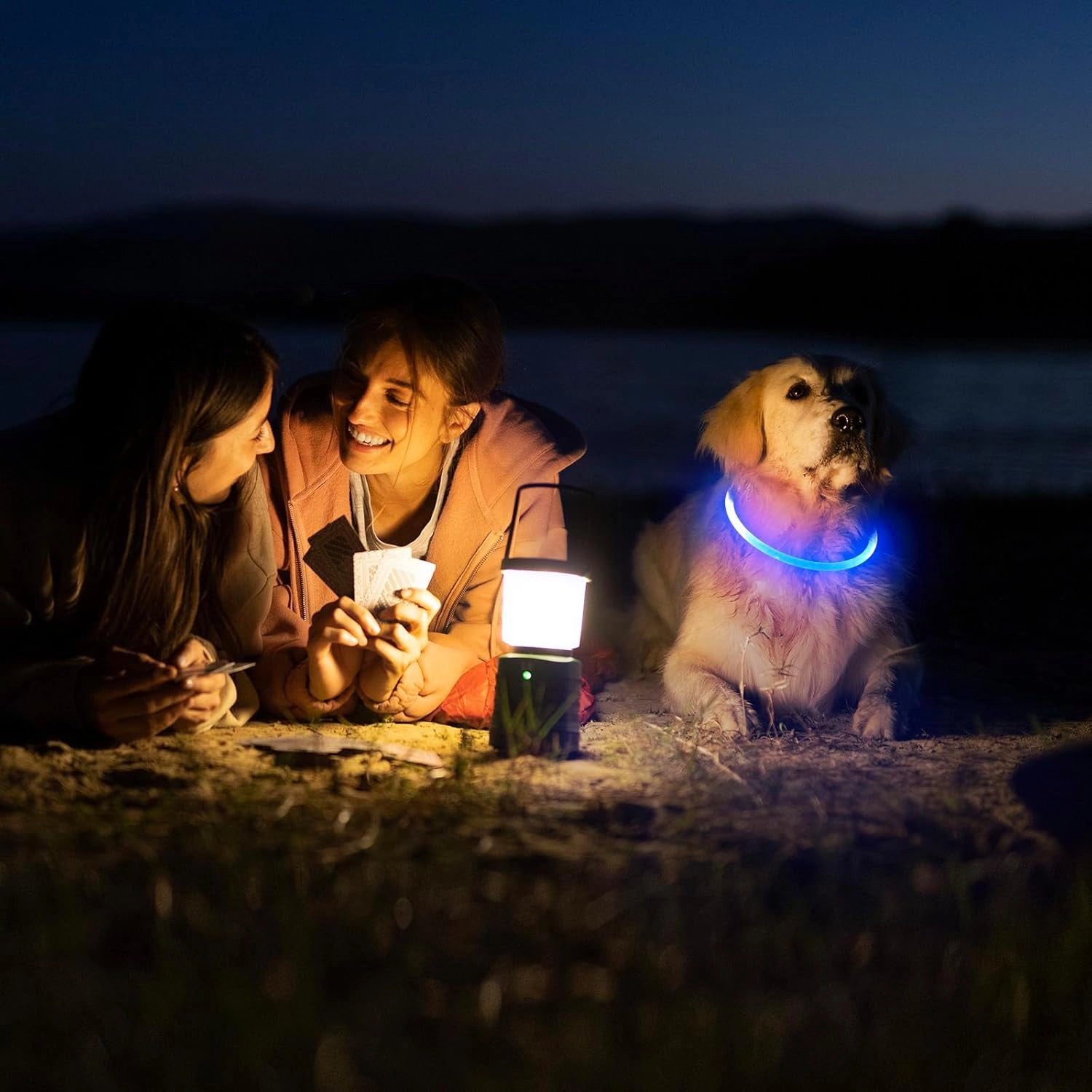Dog wearing glowing LED collar during outdoor camping at night