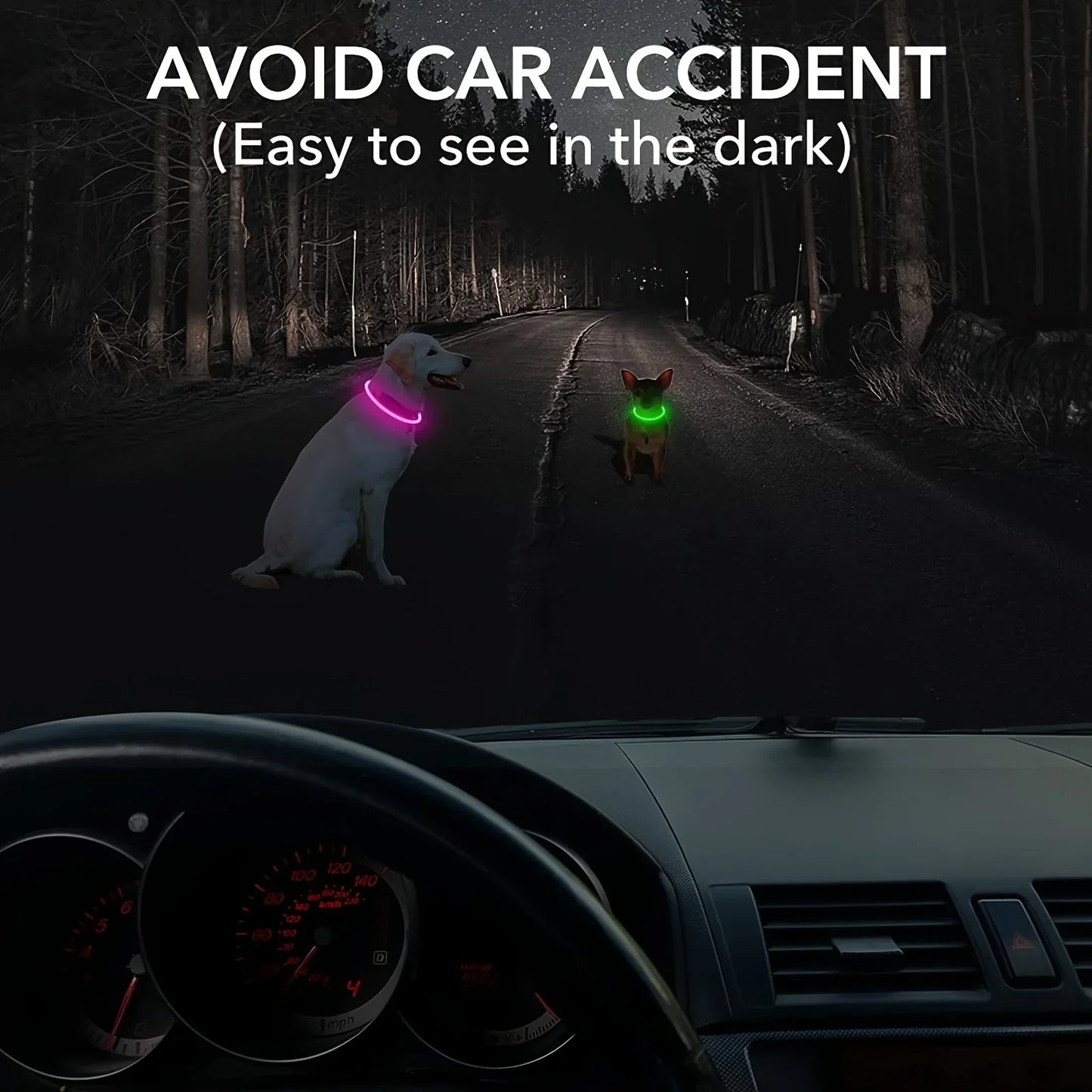 Bright LED dog collar helping drivers see dogs in the dark