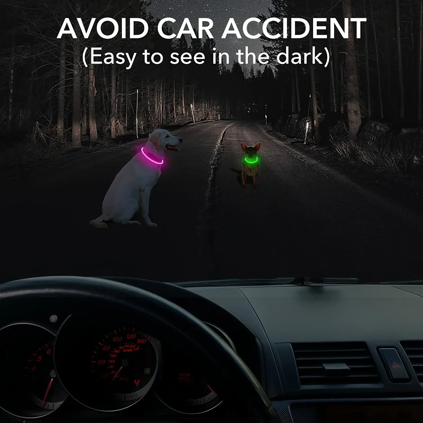 Bright LED dog collar helping drivers see dogs in the dark