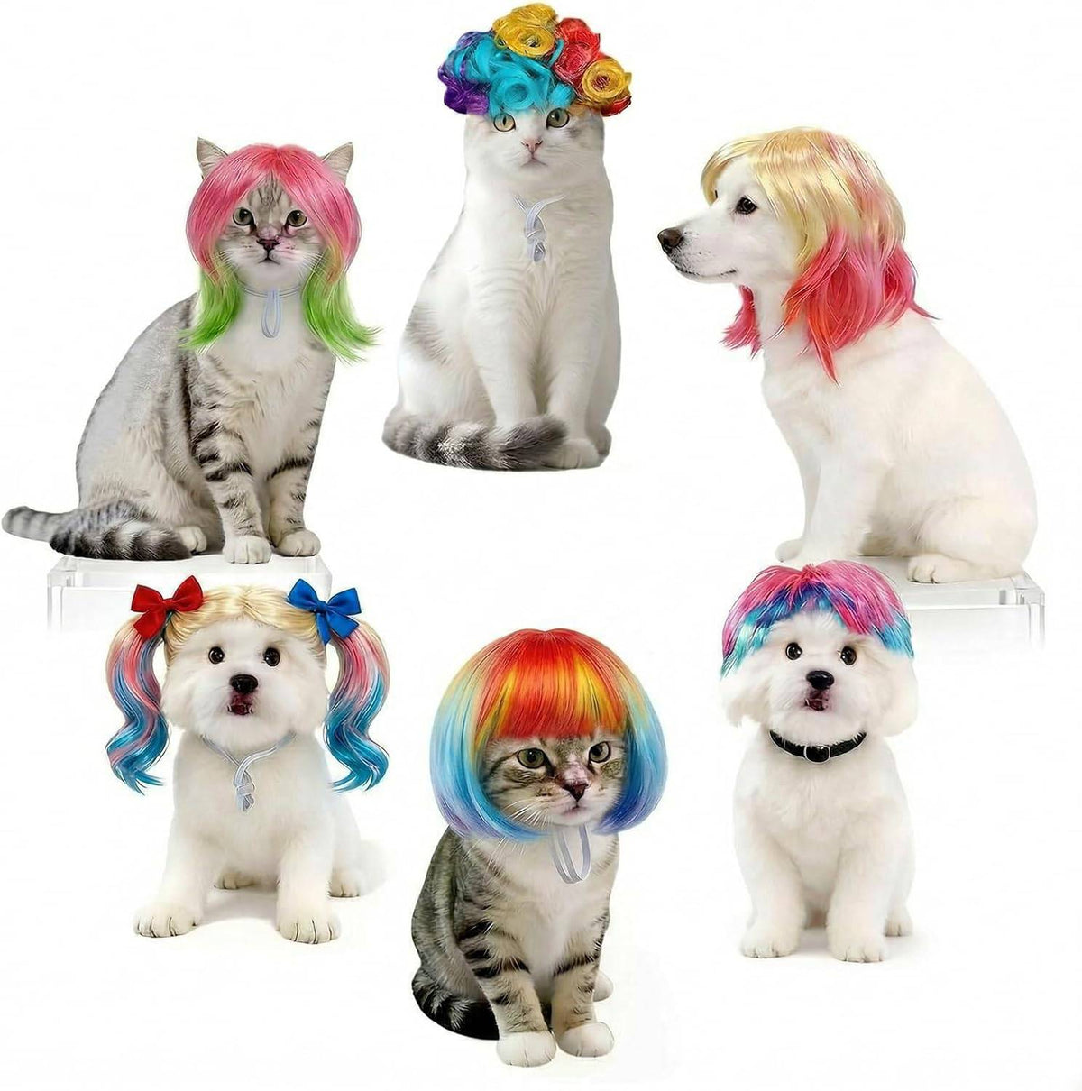 The multicolor Noblias 6 piece pet wig set, showing rainbow bobs, pigtails tied with bows and a flower crown worn by cats and dogs.
