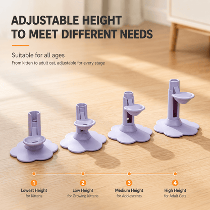 Adjustable height infographic showing the purple gravity water dispenser at four stand positions labeled lowest height for kittens, low height for growing kittens, medium height for adolescents, and high height for adult cats