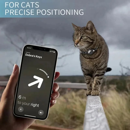 Phone showing the Find My app arrow pointing toward a cat wearing the AirTag collar on a hillside