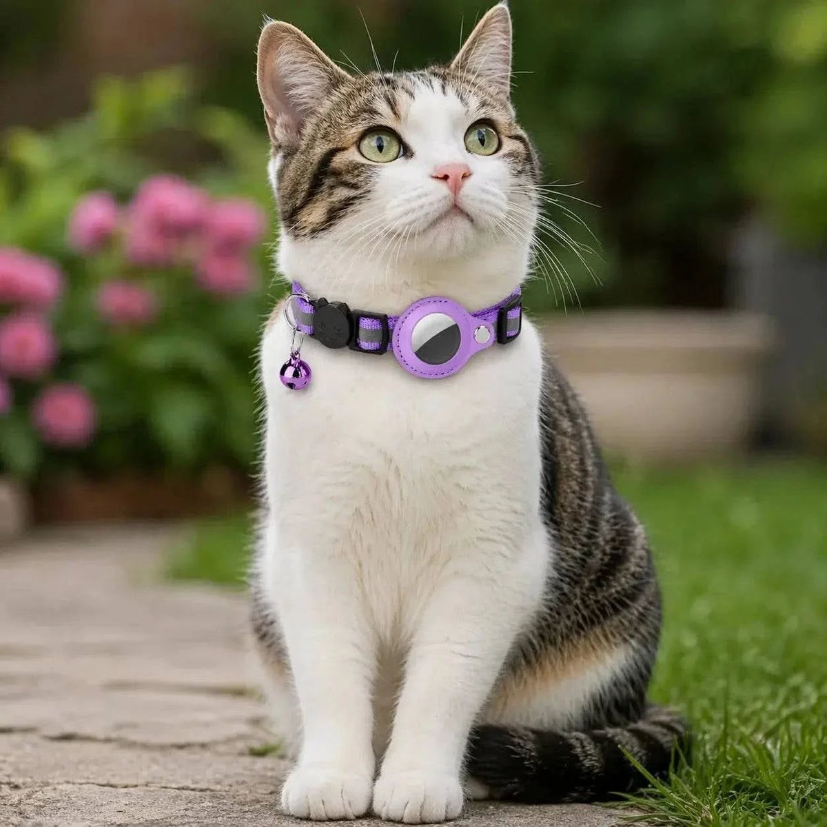Tabby cat in the garden wearing the purple AirTag cat collar with the tracker holder at its throat