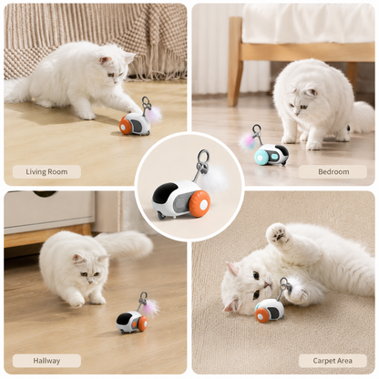 Four photos of a white cat playing with the automatic cat toy car in a living room, bedroom, hallway and on carpet.