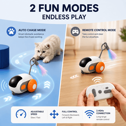 Panel for the automatic cat toy car showing auto chase mode with obstacle avoidance and remote control mode with adjustable speed and a 2.4 GHz remote.