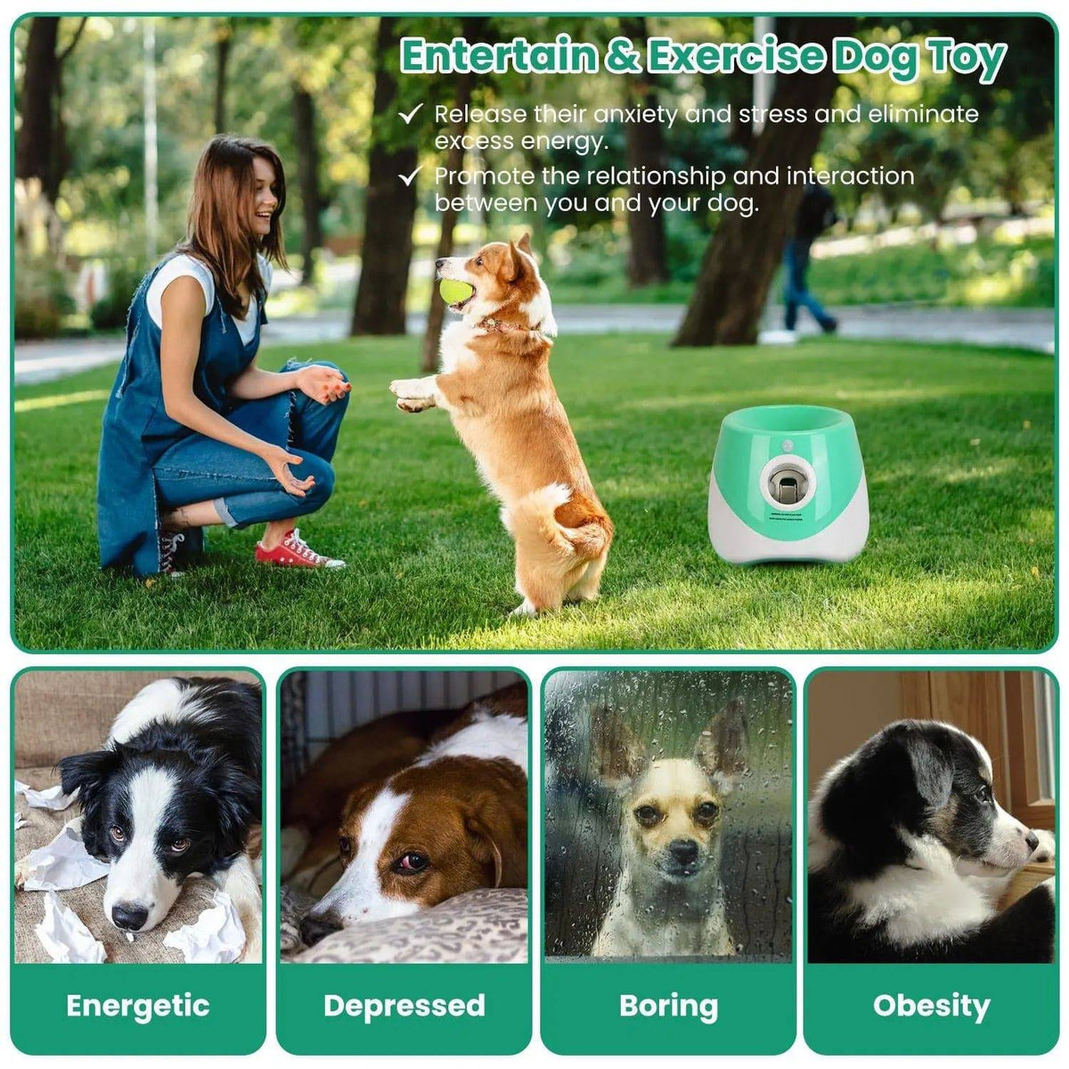 Corgi chasing a ball from the automatic launcher in a park, with four dogs illustrating who benefits: energetic, depressed, bored and overweight