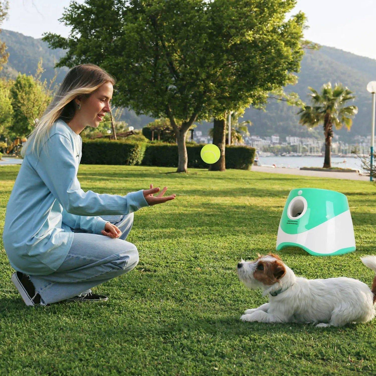 Woman crouched in a park watching her Jack Russell wait at the automatic ball launcher as a ball flies out