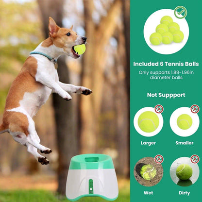 Jack Russell leaping for a ball, with a panel showing the six included tennis balls and the larger, smaller, wet and dirty balls the launcher does not support