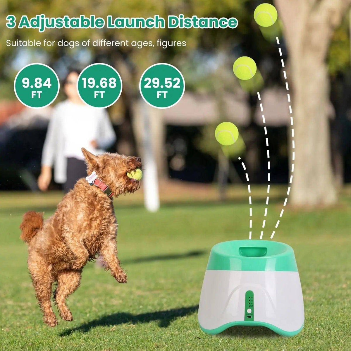 Goldendoodle catching a ball on a lawn beside the three adjustable launch distances of the automatic dog ball launcher